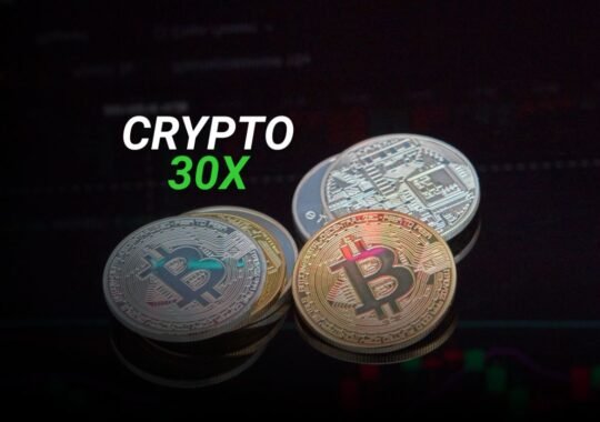 The Ultimate Guide To crypto30x.com ICE For Investors