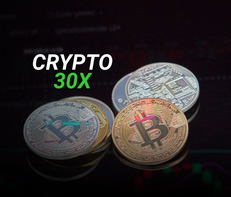 The Ultimate Guide To crypto30x.com ICE For Investors