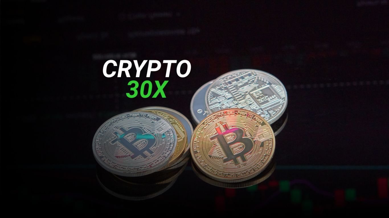 The Ultimate Guide To crypto30x.com ICE For Investors