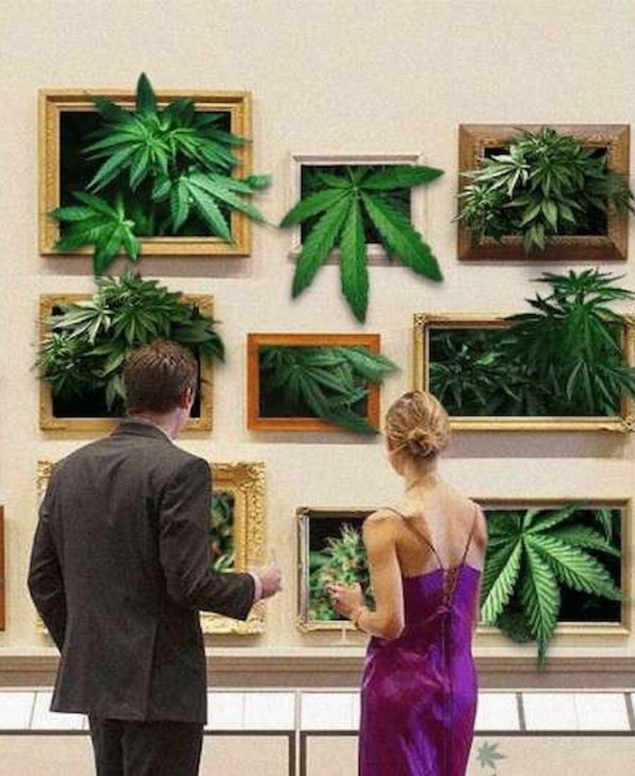 A Local’s Guide to Cannabis Culture in Barcelona