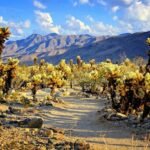 Hidden Gem Destinations for Your Next Adventure