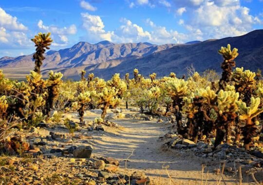 Hidden Gem Destinations for Your Next Adventure