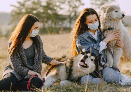 Spot Early Symptoms Of Pet Illness To Protect Your Furry Friend