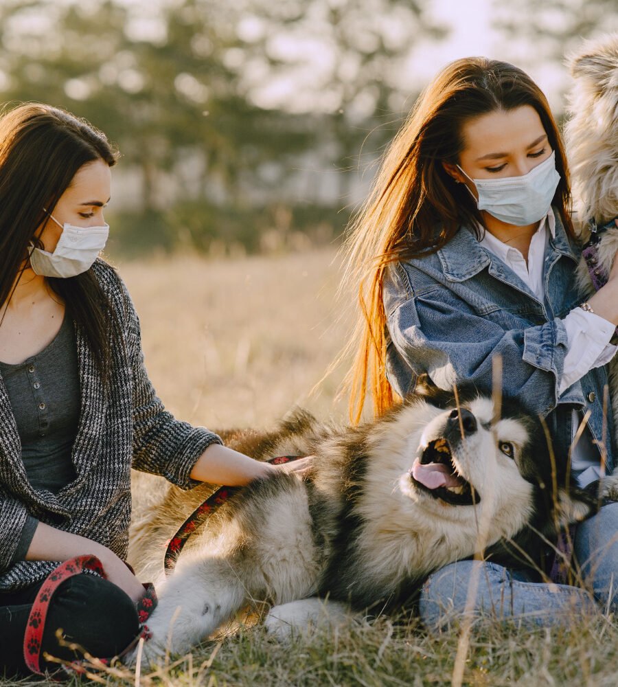 Spot Early Symptoms Of Pet Illness To Protect Your Furry Friend