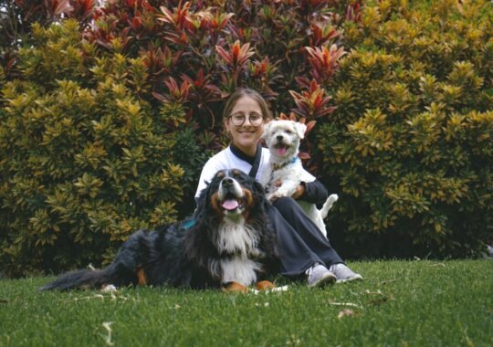 Caring for Your Furry Friend: Tips for a Healthier, Happier Dog