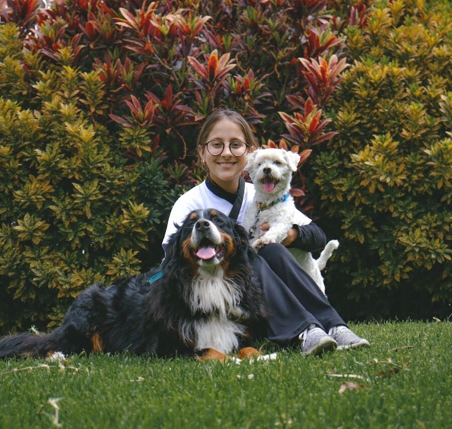 Caring for Your Furry Friend: Tips for a Healthier, Happier Dog