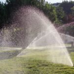 How to Get Your Yard Ready for Spring Without Major Hassles