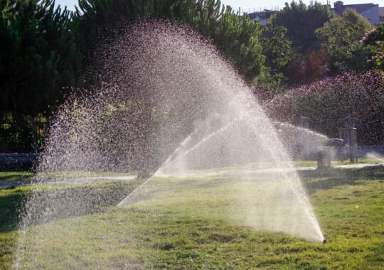 How to Get Your Yard Ready for Spring Without Major Hassles