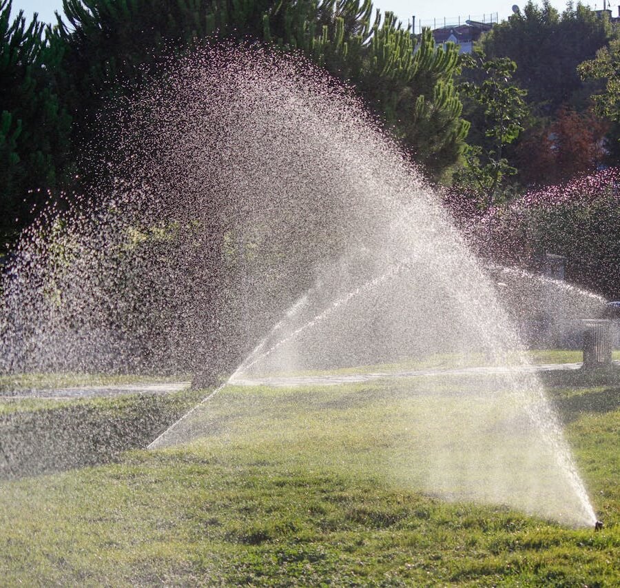 How to Get Your Yard Ready for Spring Without Major Hassles