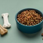 How To Choose The Right Nutrition Plan For Puppies