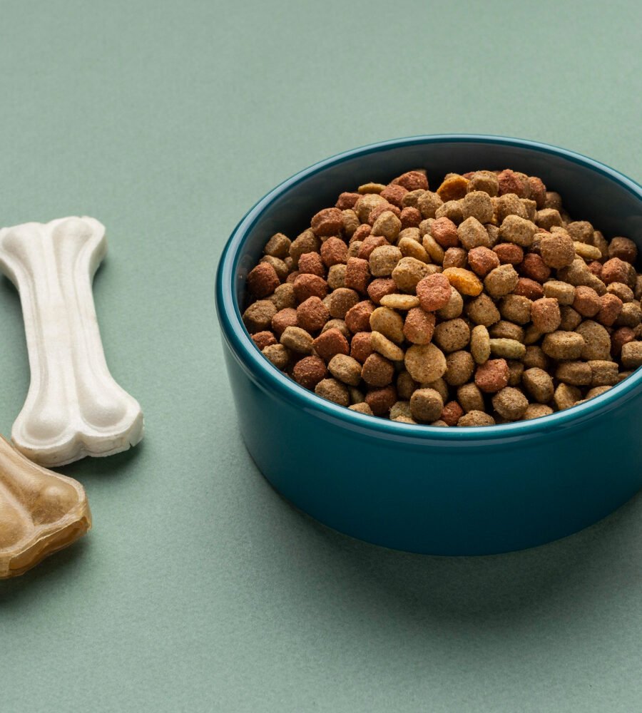 How To Choose The Right Nutrition Plan For Puppies