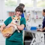 Vital Life-Saving Techniques for Animal Emergencies