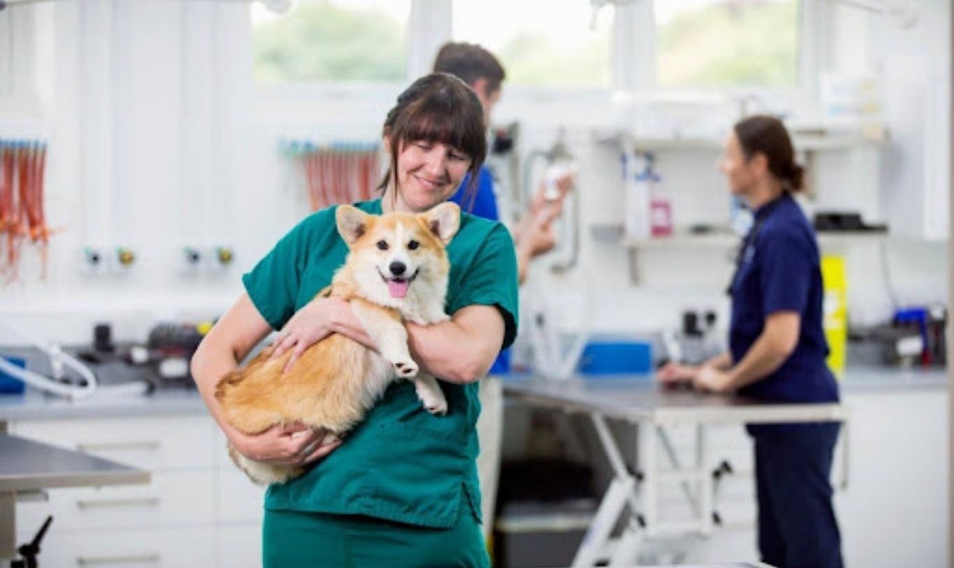 Vital Life-Saving Techniques for Animal Emergencies