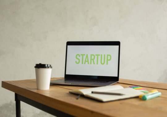 Aponeyrvsh: A Novel Approach to Digital Innovation and Startup Development