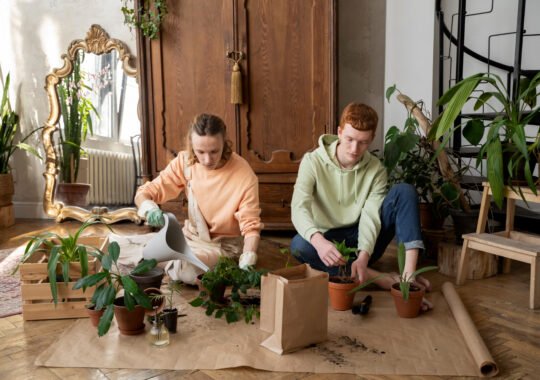 Integrating Organic Design Elements Into Your Home Renovation Strategy
