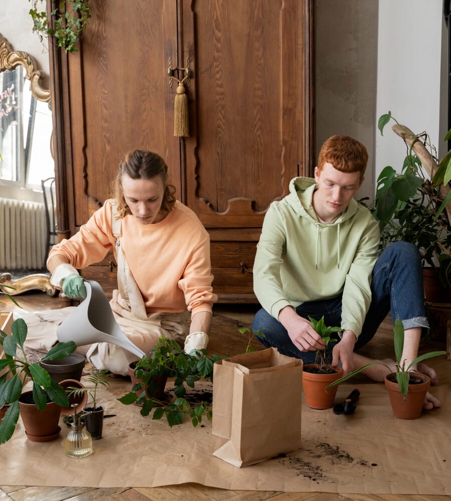 Integrating Organic Design Elements Into Your Home Renovation Strategy