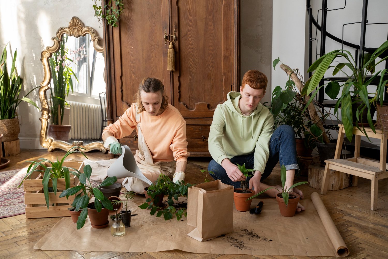 Integrating Organic Design Elements Into Your Home Renovation Strategy