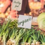 The Organic Food Movement: Why Organic Restaurants and Markets Are on the Rise
