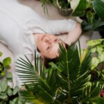 The Growing Trend of Plant-Based Stress Remedies for Better Evening Routines