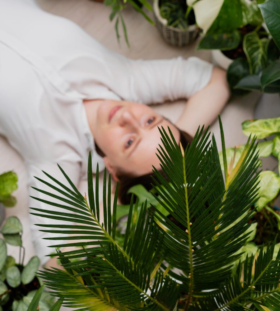 The Growing Trend of Plant-Based Stress Remedies for Better Evening Routines