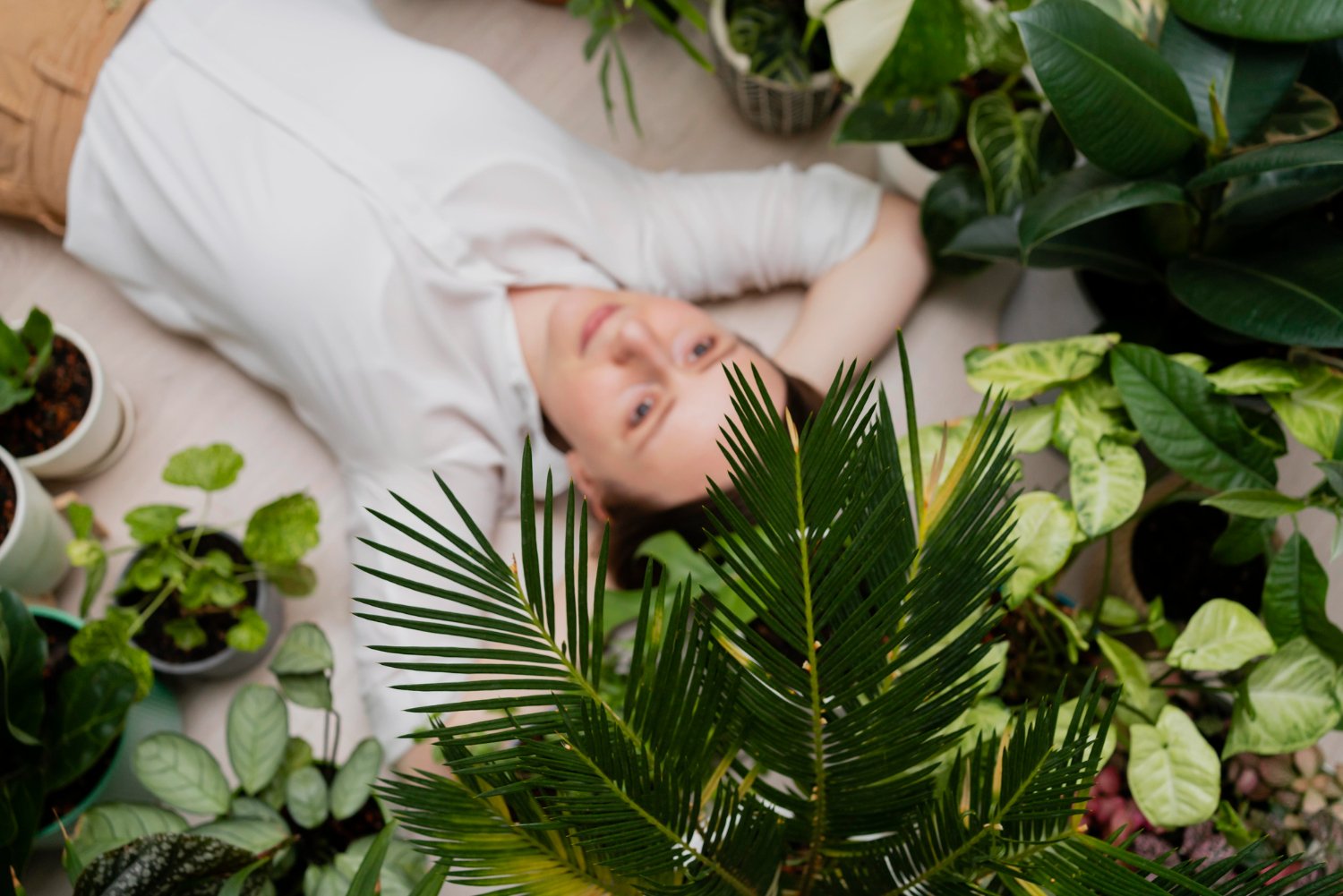 The Growing Trend of Plant-Based Stress Remedies for Better Evening Routines