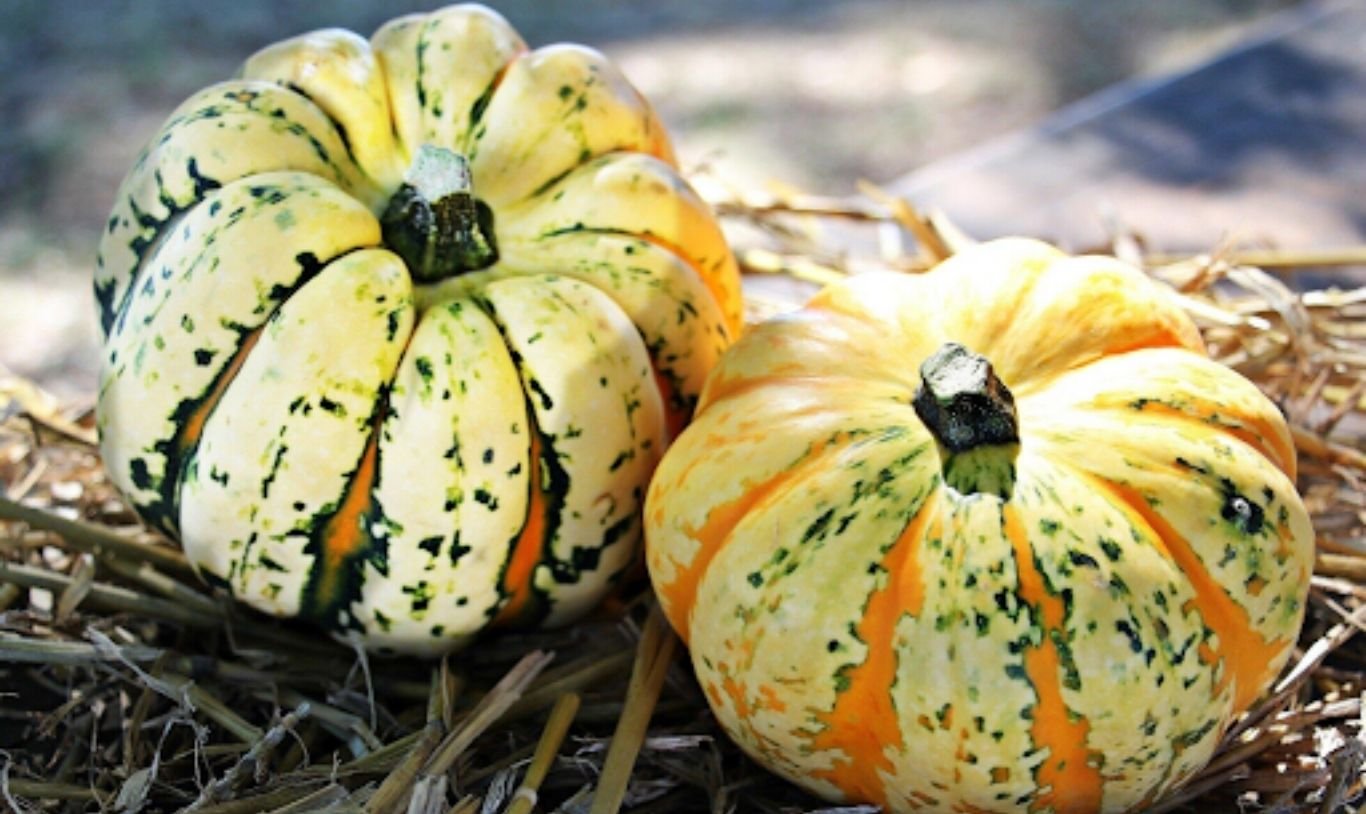 Seasonal Decor Swaps: Transitioning Your Home for Every Season