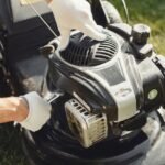 Simple Backyard Habits That Keep Pests Away
