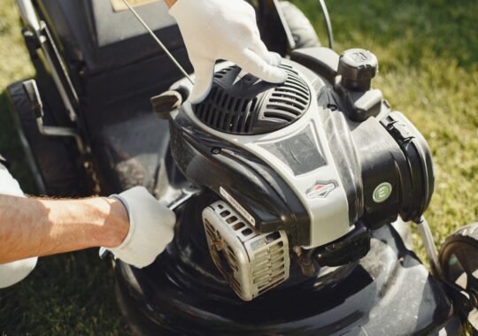 Simple Backyard Habits That Keep Pests Away