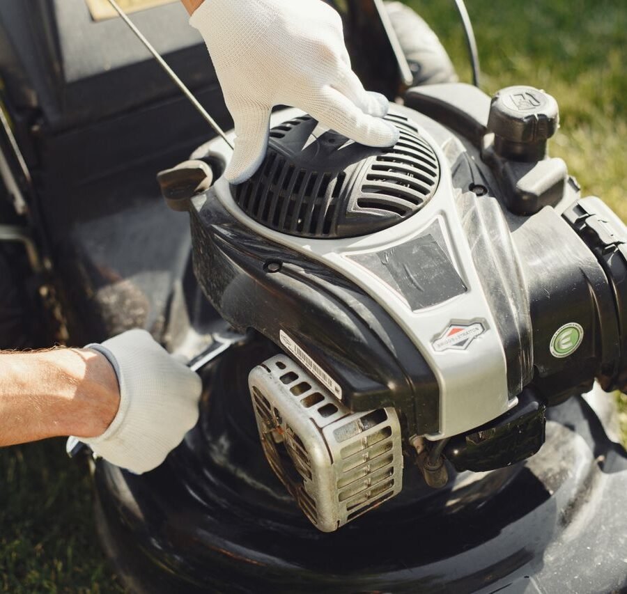 Simple Backyard Habits That Keep Pests Away