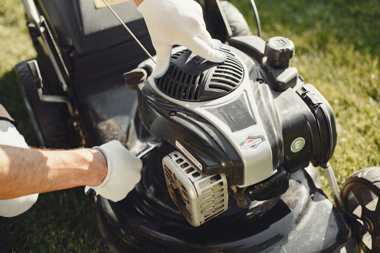 Simple Backyard Habits That Keep Pests Away