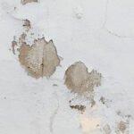 Efflorescence Drywall Indicators of a Basement Leak