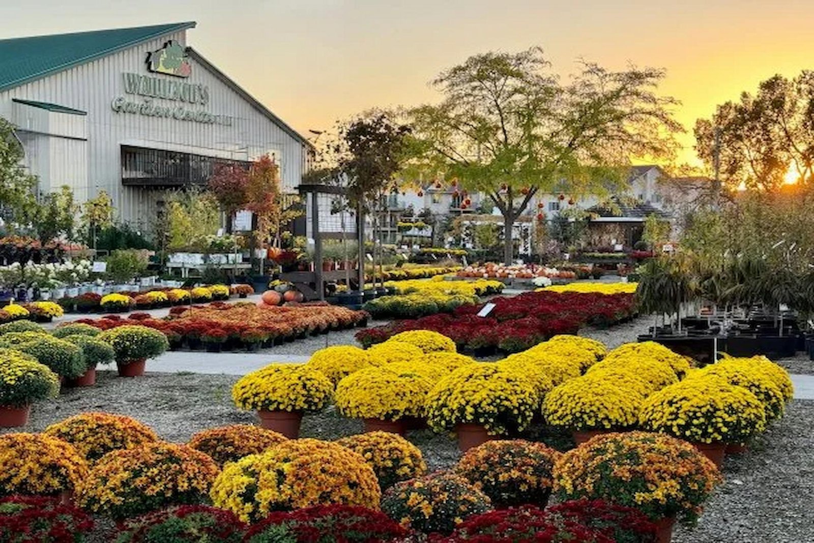 How to Choose the Best Garden Center in Northern Virginia: A Complete Guide