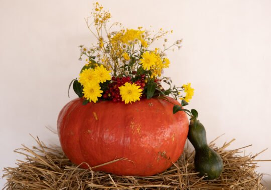 How to Pick a Halloween Bouquet for Any Space
