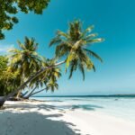 Crafting The Perfect Wellness Itinerary For a Tropical Beach Holiday