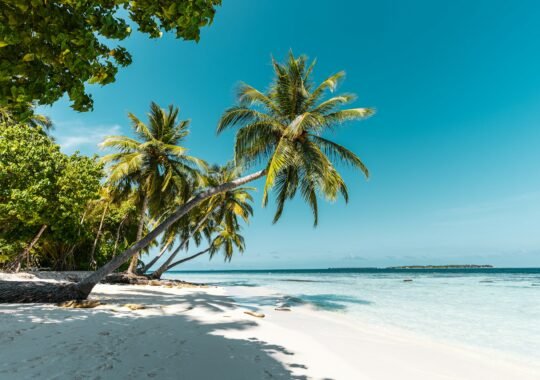Crafting The Perfect Wellness Itinerary For a Tropical Beach Holiday