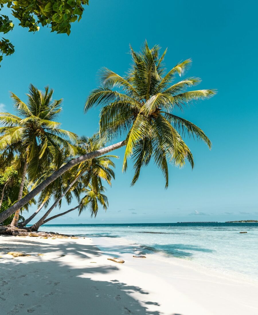 Crafting The Perfect Wellness Itinerary For a Tropical Beach Holiday
