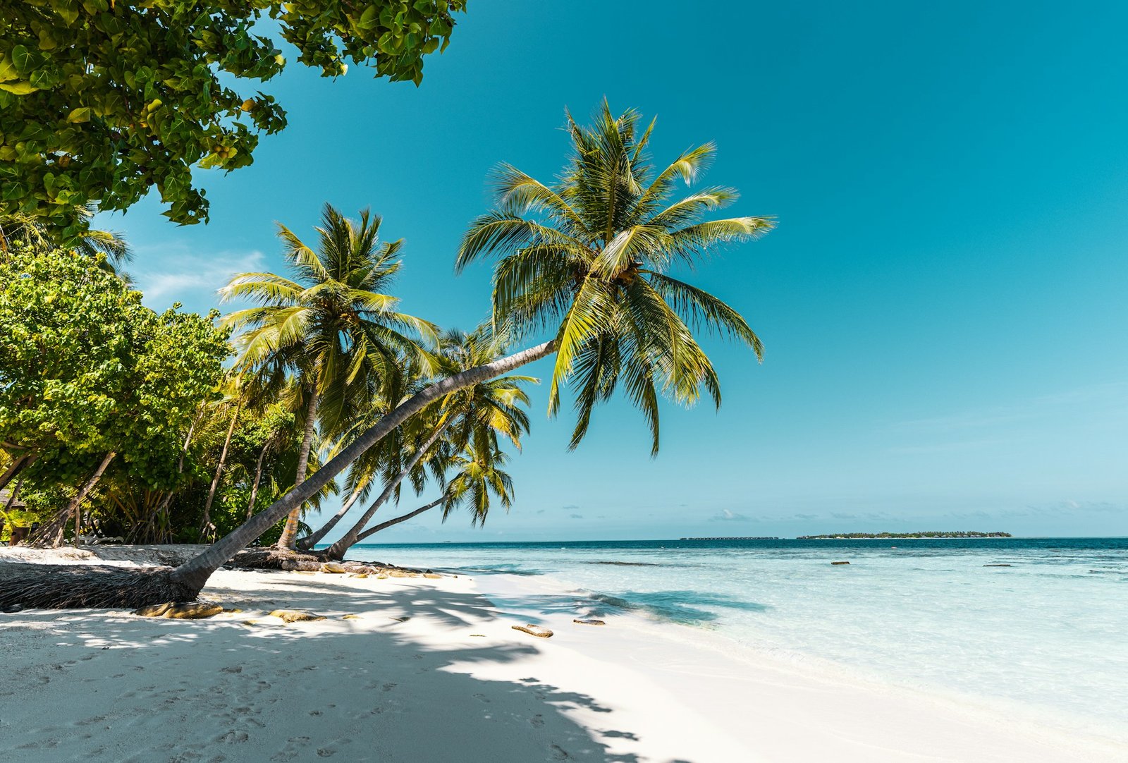 Crafting The Perfect Wellness Itinerary For a Tropical Beach Holiday