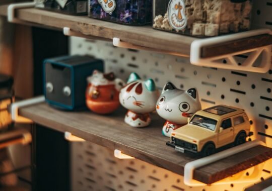 A Beginner’s Guide To Displaying Small Collectibles at Home