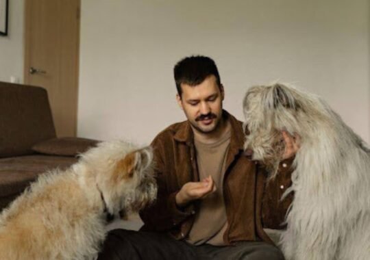 Everyday Routines That Help Your Dog Mind Their Manners