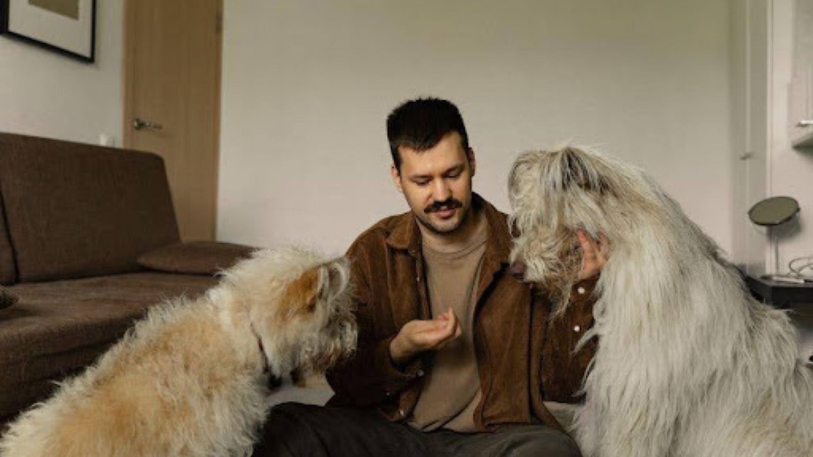 Everyday Routines That Help Your Dog Mind Their Manners