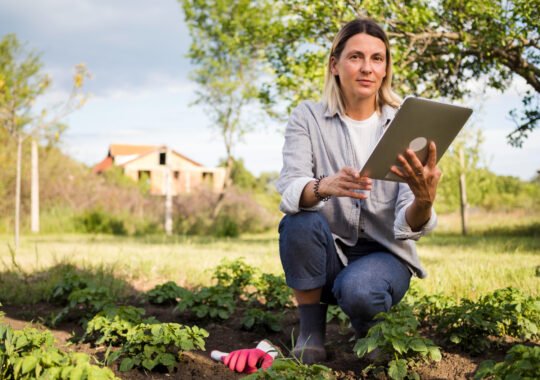 Smart Real Estate Farming Ideas For Agents Targeting Local Homeowners