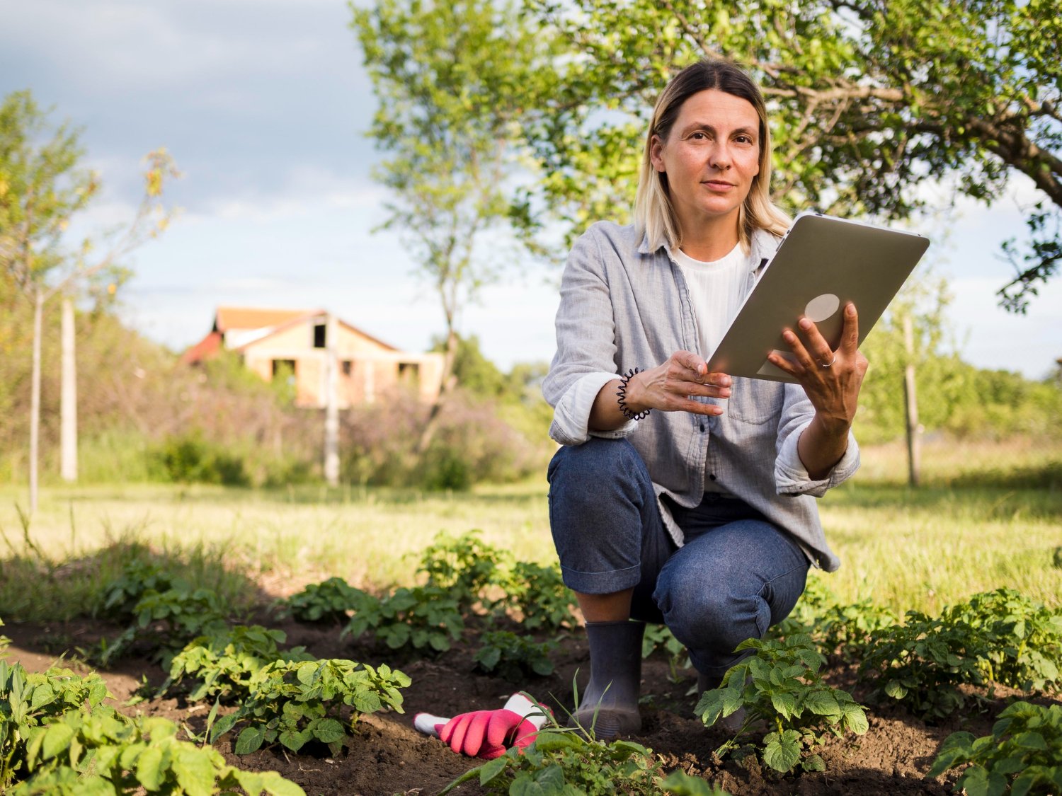 Smart Real Estate Farming Ideas For Agents Targeting Local Homeowners
