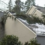 Managing Storm-Damaged Trees in Charles County, MD: Safe Removal and Prevention Tips