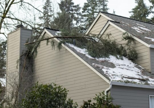 Managing Storm-Damaged Trees in Charles County, MD: Safe Removal and Prevention Tips