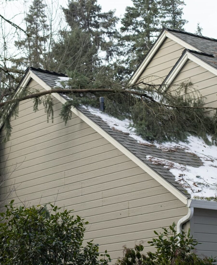 Managing Storm-Damaged Trees in Charles County, MD: Safe Removal and Prevention Tips