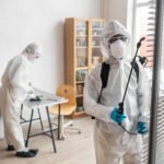 10 Common Mistakes That Attract Pests to Your Property