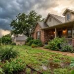 How Weather Patterns Shape Pest Activity Around Texas Homes