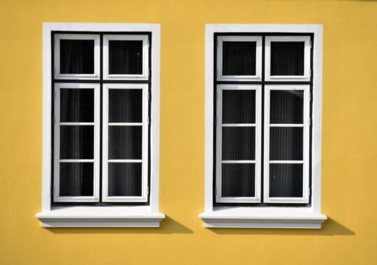What You Should Know Before Replacing the Windows in Your Home