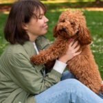 The Complete Book On The Cockapoo, This Compassionate and Smart Pet