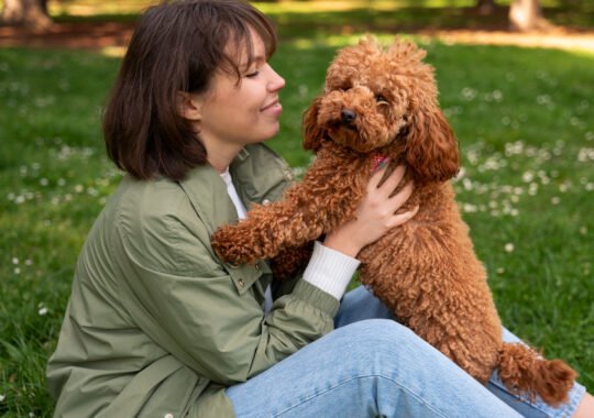 The Complete Book On The Cockapoo, This Compassionate and Smart Pet